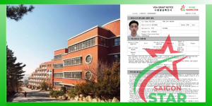 Chúc mừng Trần Thái Nguyên đậu visa ngày 11/8/2026