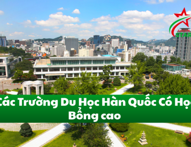 Các trường đại học Hàn Quốc có học bổng cao có thể bạn chưa biết?