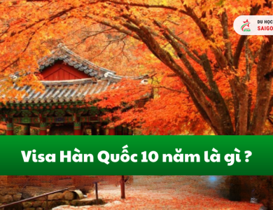 Visa 10 năm Hàn Quốc là gì? Nắm rõ thủ tục xin visa 2025 trong 5 phút