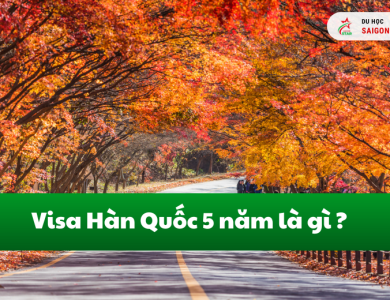 Visa 5 năm Hàn Quốc là gì? Nắm rõ thủ tục xin visa 2025 trong 5 phút